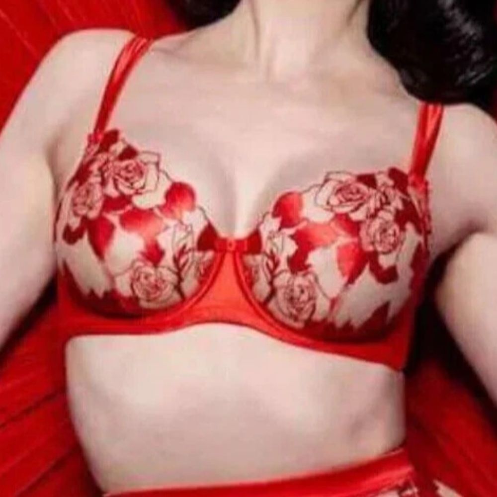 DITA VON TEESE 'Rosabelle' Underwire Bra Flame Red Size 32C D59027